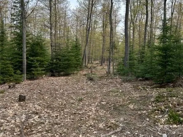 3 Bridgeview Dr, Negaunee, MI 49866