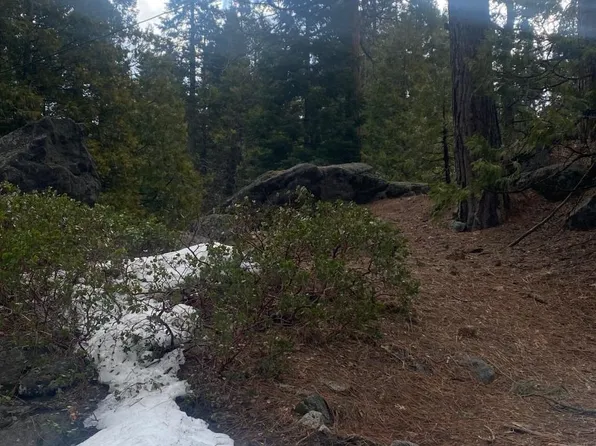 41277 Musick Dr, Shaver Lake, CA 93664