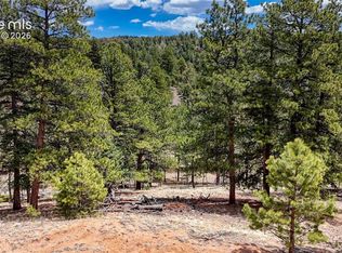 16 View Cir, Florissant, CO 80816