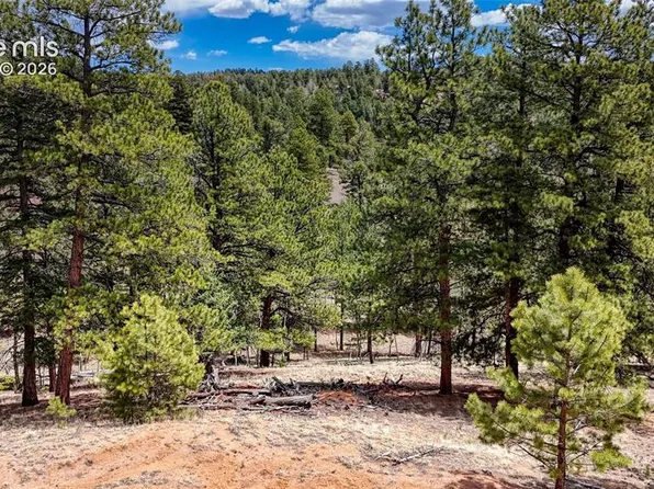 16 View Cir, Florissant, CO 80816