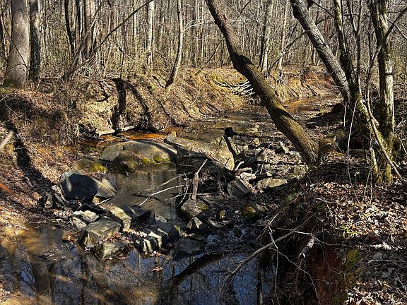 2nd image of 0 Thaxton Rd