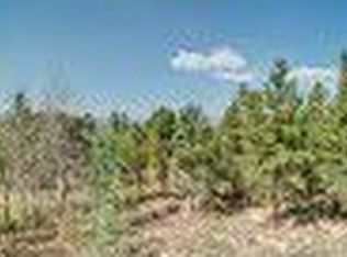 262 Ronnie Rd, Golden, CO 80403