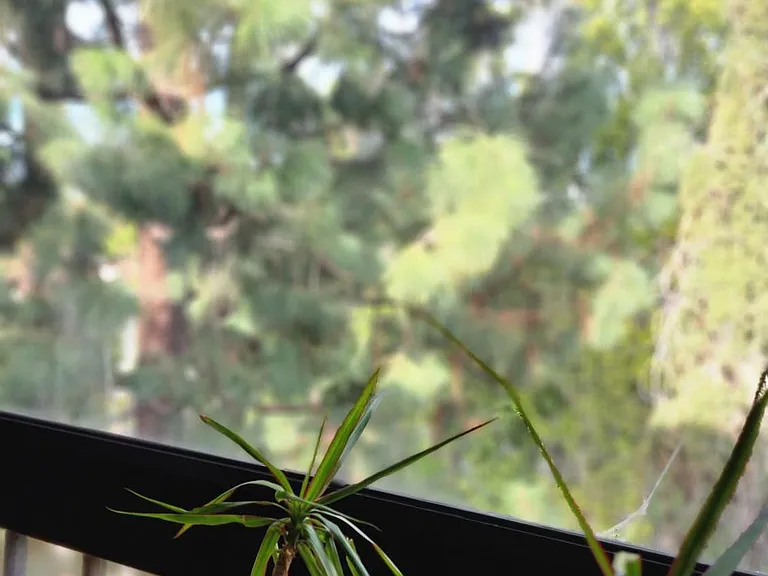4477 Wilshire Blvd #310 — Photo 18