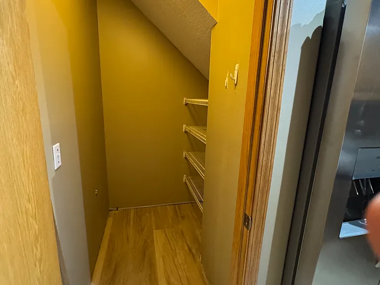 Kitchen walk-in pantry