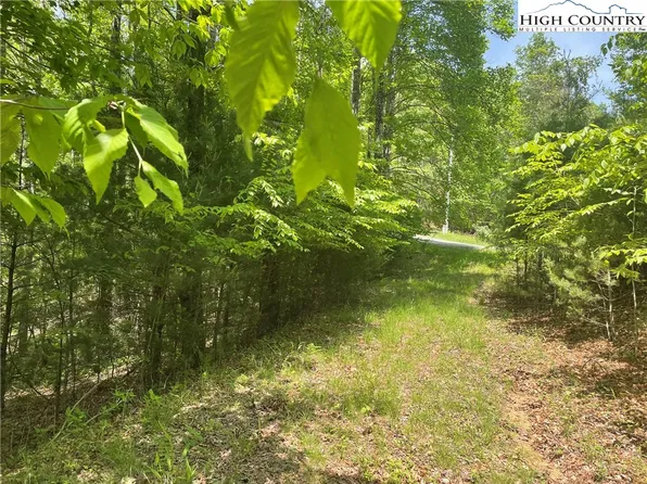 Lot 66 Daves Connector, Jefferson, NC 28640