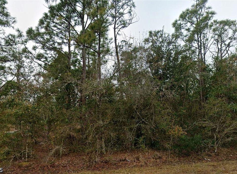 2nd image of 13431 Sulky Dr