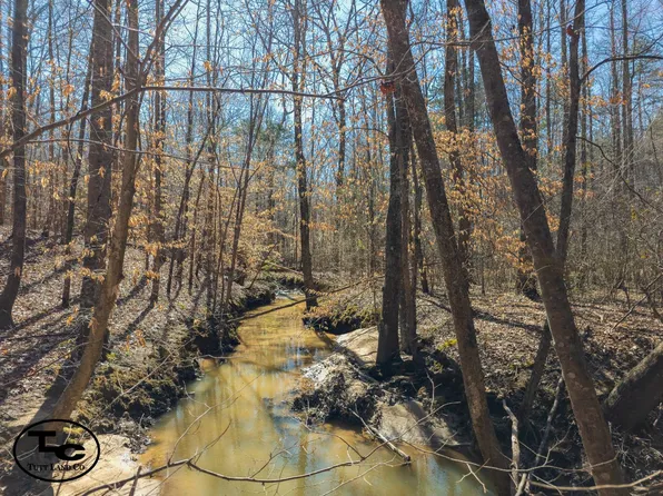 0 Palestine Ln, Henderson, TN 38340