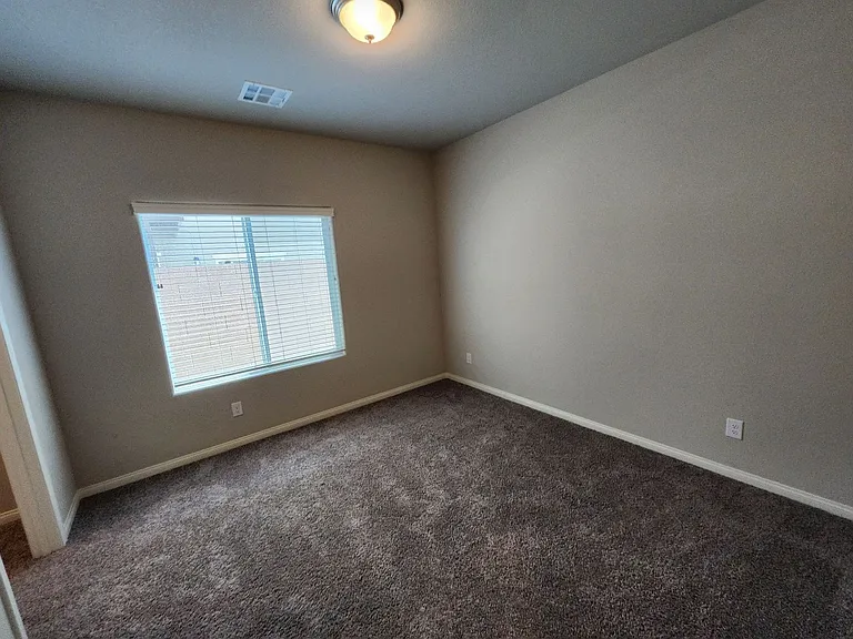 4521 Pointleaf St — Photo 17