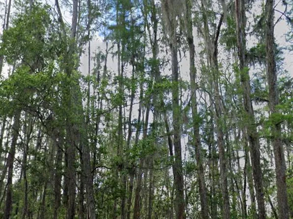 (undisclosed Address), POLK CITY, FL 33868