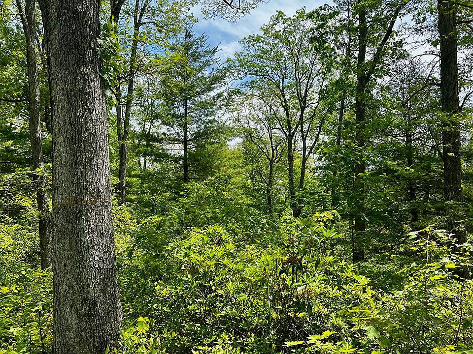 1st image of 16 Beech Mdws