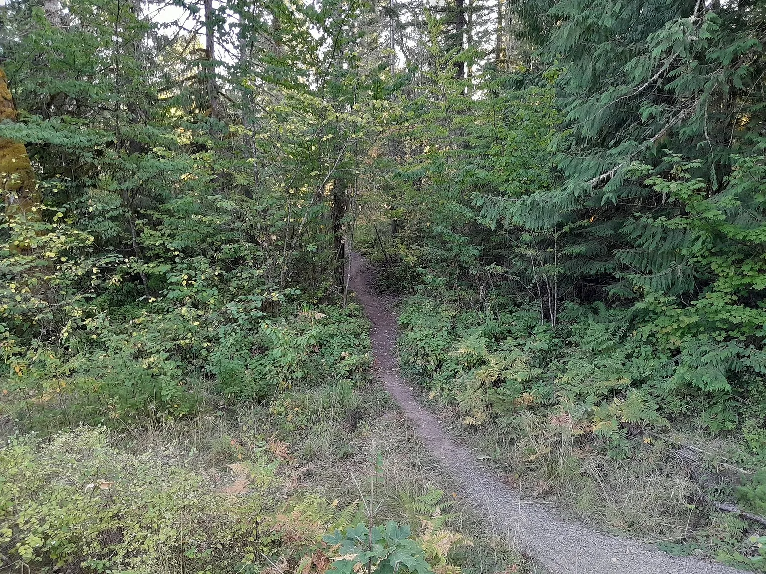 1/2 off 1st Month's Rent ! Country Setting Single Wide Manufactured Home Silverbrook RV Park — Photo 3