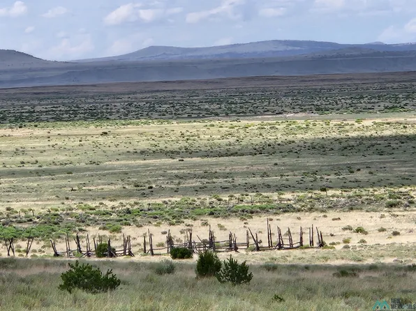 Dometrio Creek Rd, Quemado, NM 87829