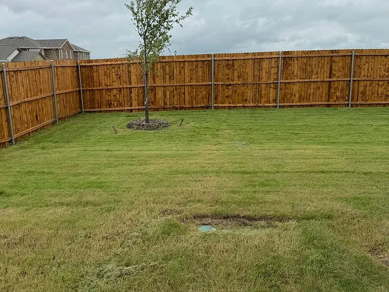 backyard-1