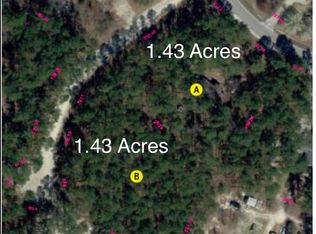 63 Dowey Ct, Elgin, SC 29045