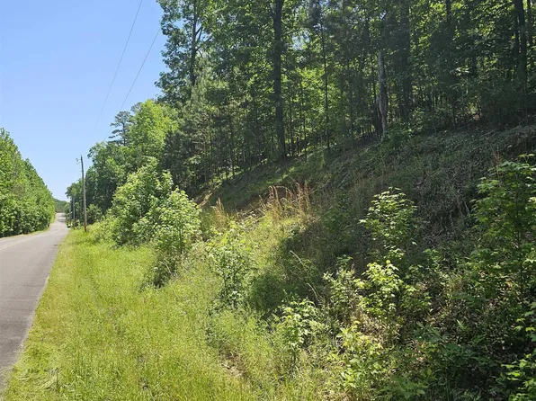 21 Bald Eagle Dr, Paron, AR 72122
