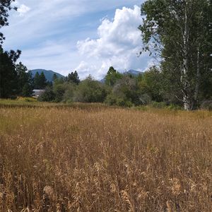 Nhn Canyon Creek Rd, Hamilton, MT, 59840