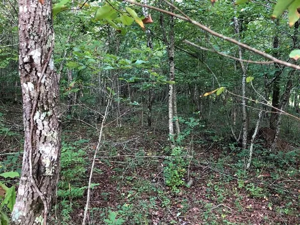 39 Luka Ln, Crossville, TN 38572