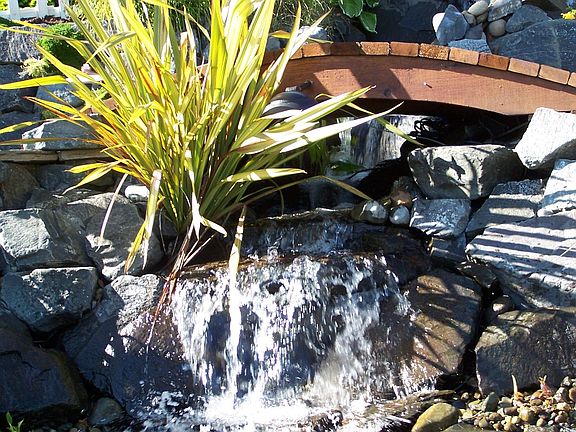 Waterfall w/Koi pond