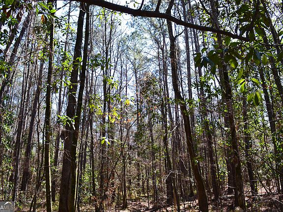 4th image of 0 Mark Wood Rd