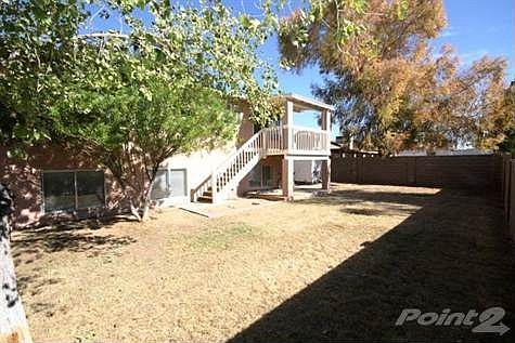 Backyard2