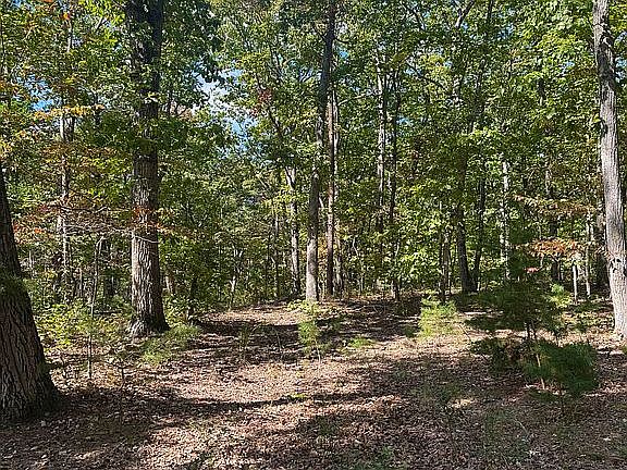 Path into the property