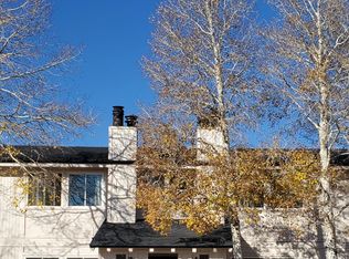 225 Carriage Rd, Fraser, CO 80442