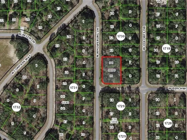 6397 N Whispering Dr, Citrus Springs, FL 34434