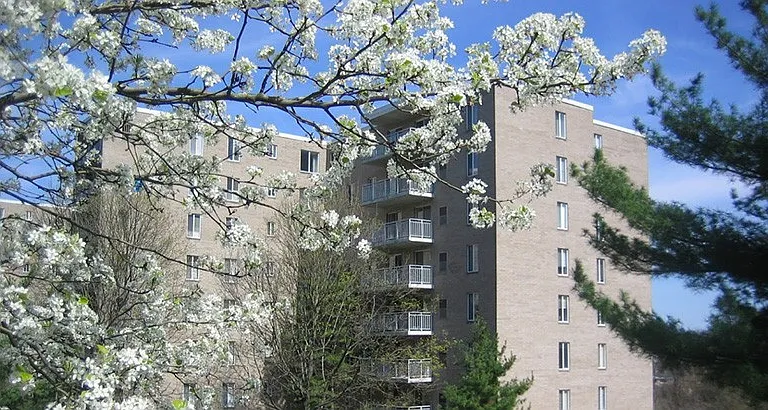 Bower Hill III — Photo 16