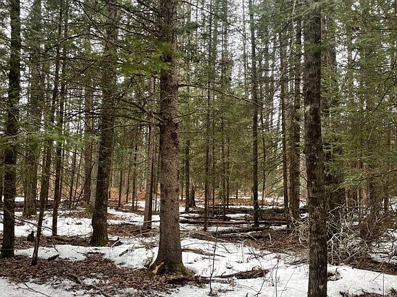 5th image of 5705 S Lockwood Lake Rd