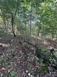 10 Gretton Ln #10, Bella Vista, AR, 72714