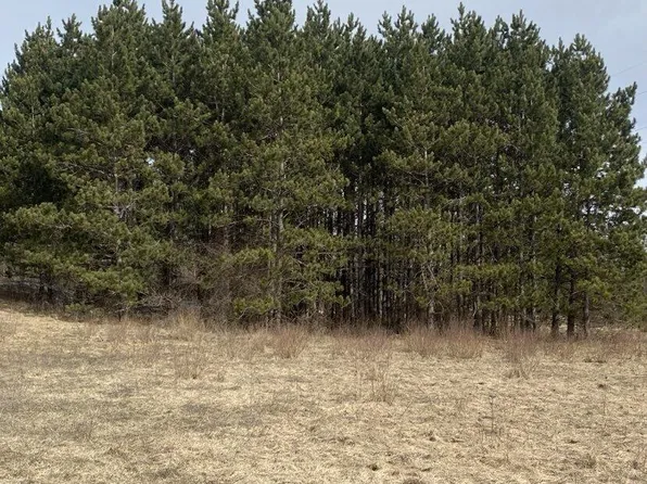 2540 Campbell Rd, Comins, MI 48619