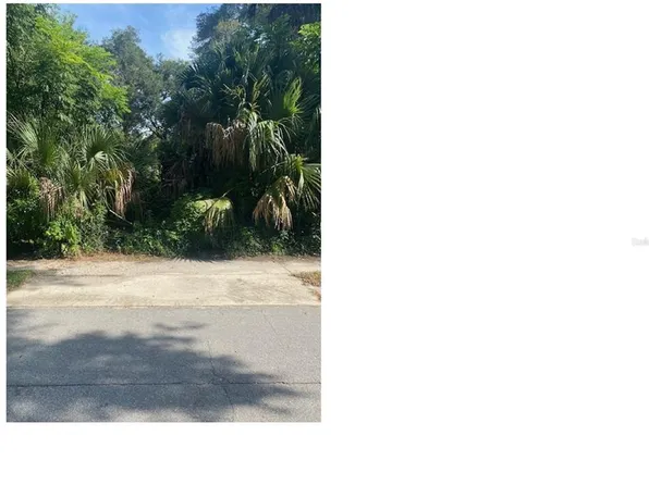 0 SE 162nd Pl #1, Weirsdale, FL 32195