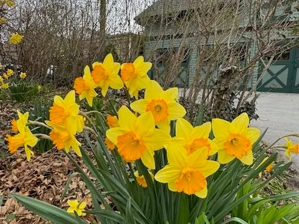 74 Sherman Place image 47 of 50