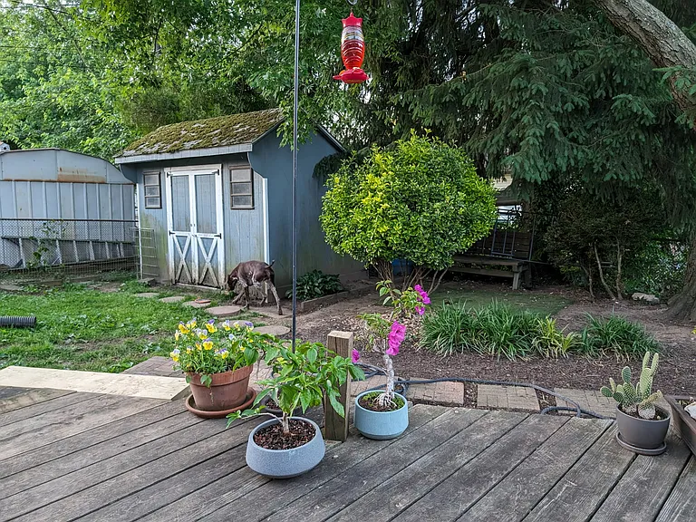 Evelyn Dr — Photo 4