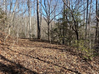 0 Lewis Cove Rd, Whittier, NC, 28789