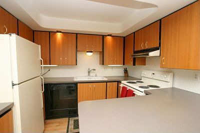Roomy Kitchen