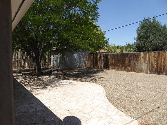 Back yard