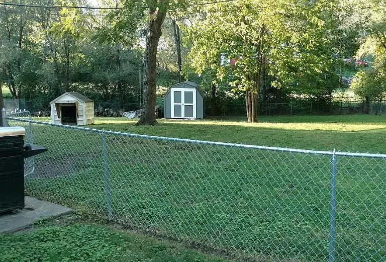 Big fenced in backyard