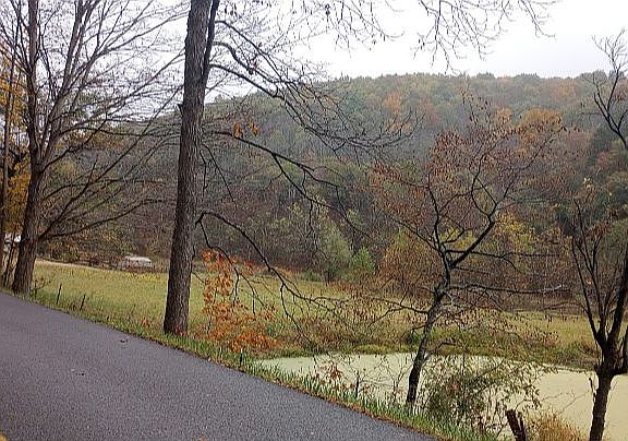 3rd image of 7624 Snowy Mountain Rd