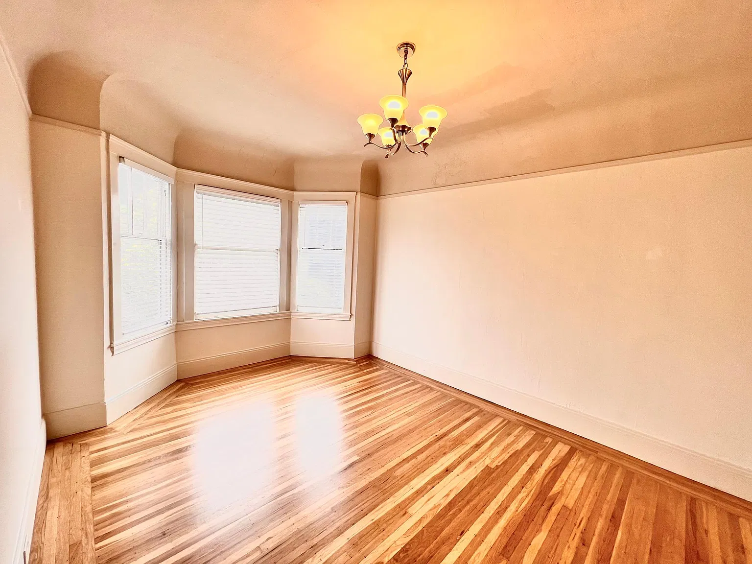 1 bed, 500 sqft, $3,800 — Photo 2