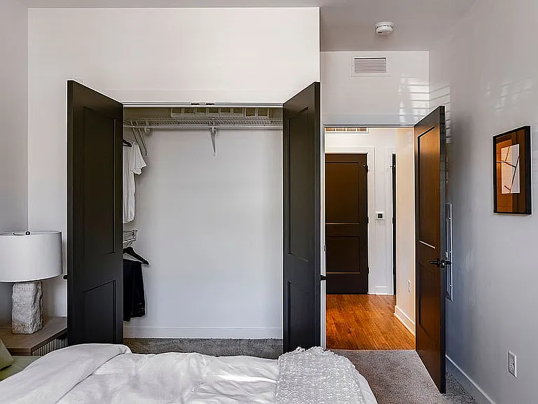 Large Walk-In Closet Spaces