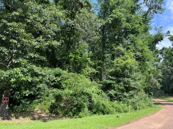 Tbd W Highway 49, Daingerfield, TX 75638