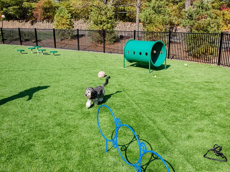 WAG Pet Park