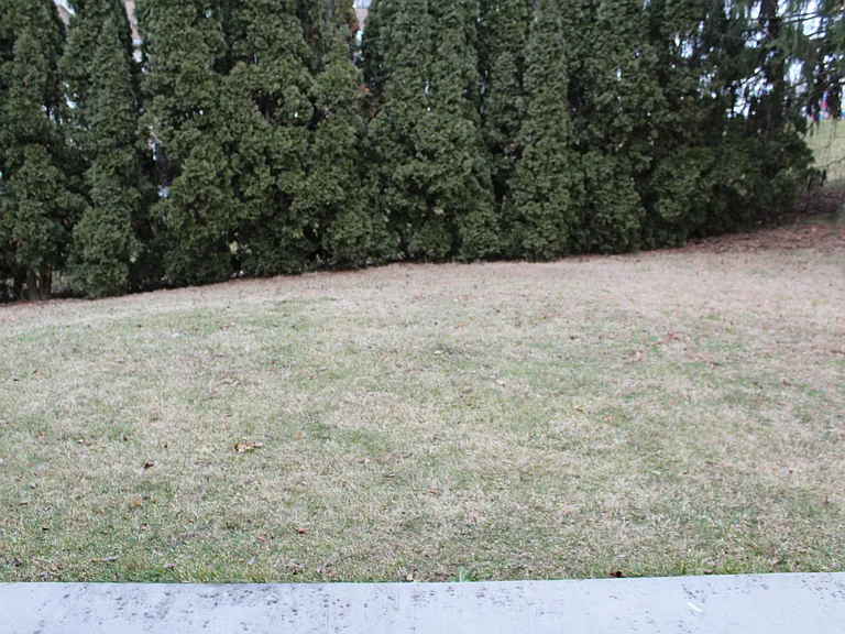 2103 Foxfire Dr — Photo 32