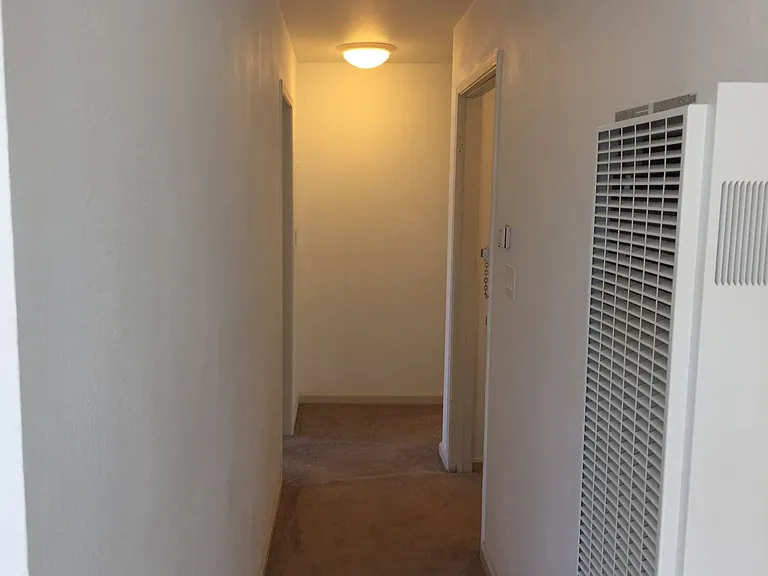 Willard Ave - 301 — Photo 12