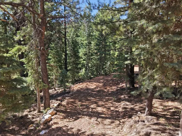 805 W Doe Trl, Duck Creek Village, UT 84762