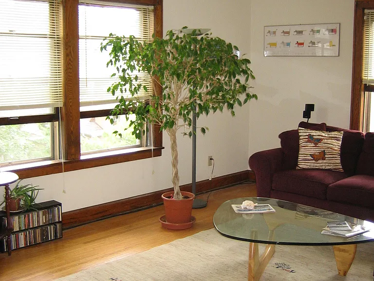 894 Grand Ave — Photo 5