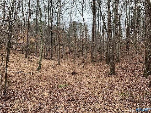 3rd image of 2100 County Road 115