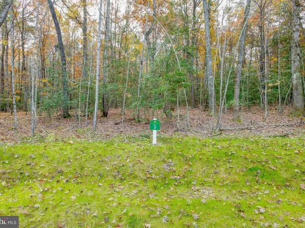 3 Dorothy Way, Locust Grove, VA 22508