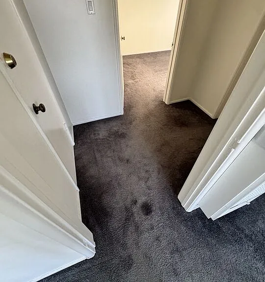2986 Waverly Dr #4 — Photo 21